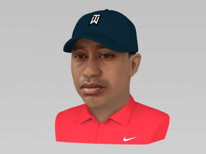 tiger woods bust ready for full color 3d printing 3Dプリントモデル