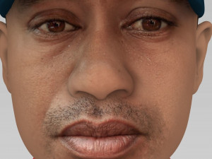 tiger woods bust ready for full color 3d printing 3Dプリントモデル