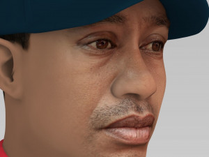 tiger woods bust ready for full color 3d printing 3Dプリントモデル