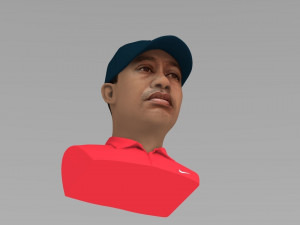 tiger woods bust ready for full color 3d printing 3Dプリントモデル
