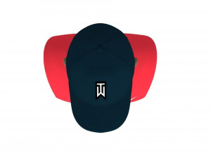 tiger woods bust ready for full color 3d printing 3Dプリントモデル