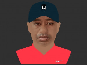 tiger woods bust ready for full color 3d printing 3Dプリントモデル