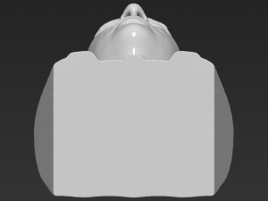 prince william bust ready for full color 3d printing Model Cetak 3D