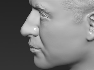 prince william bust ready for full color 3d printing Model Cetak 3D