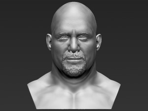stone cold steve austin bust 3d printing ready stl obj 3D Print Model