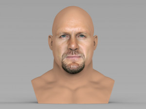 stone cold steve austin bust ready for full color 3d printing 3D Print Model