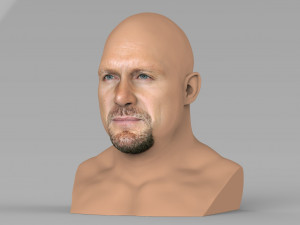 stone cold steve austin bust ready for full color 3d printing 3D 프린트 모델