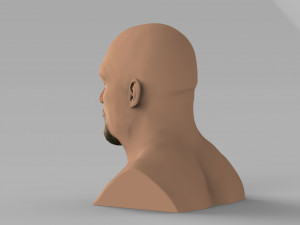 stone cold steve austin bust ready for full color 3d printing 3D 프린트 모델