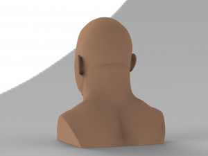 stone cold steve austin bust ready for full color 3d printing 3D 프린트 모델