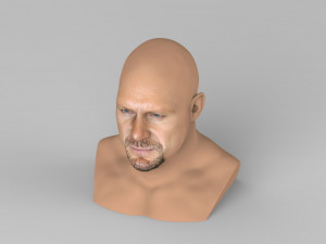 stone cold steve austin bust ready for full color 3d printing 3D 프린트 모델