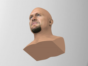stone cold steve austin bust ready for full color 3d printing 3D 프린트 모델