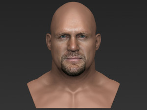stone cold steve austin bust ready for full color 3d printing 3D 프린트 모델