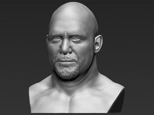 stone cold steve austin bust ready for full color 3d printing 3D 프린트 모델
