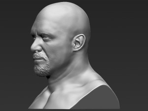 stone cold steve austin bust ready for full color 3d printing 3D 프린트 모델