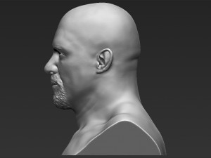 stone cold steve austin bust ready for full color 3d printing 3D 프린트 모델