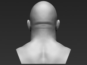 stone cold steve austin bust ready for full color 3d printing 3D 프린트 모델