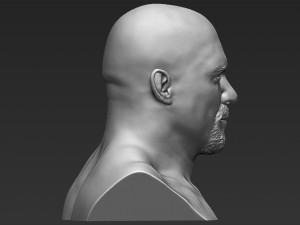 stone cold steve austin bust ready for full color 3d printing 3D 프린트 모델