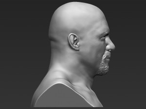 stone cold steve austin bust ready for full color 3d printing 3D 프린트 모델