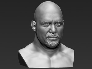 stone cold steve austin bust ready for full color 3d printing 3D 프린트 모델