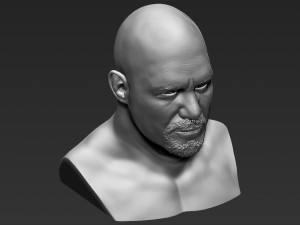 stone cold steve austin bust ready for full color 3d printing 3D 프린트 모델