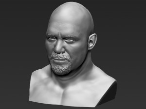 stone cold steve austin bust ready for full color 3d printing 3D 프린트 모델