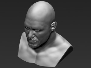 stone cold steve austin bust ready for full color 3d printing 3D 프린트 모델