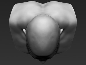 stone cold steve austin bust ready for full color 3d printing 3D 프린트 모델