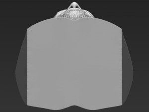 stone cold steve austin bust ready for full color 3d printing 3D 프린트 모델