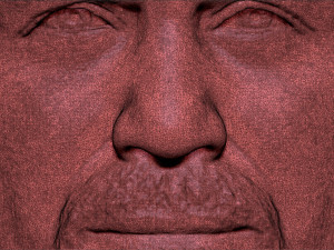 stone cold steve austin bust ready for full color 3d printing 3D 프린트 모델