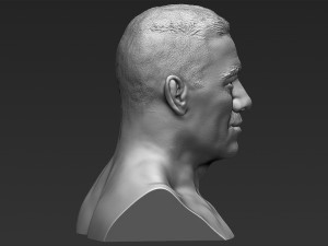 john cena bust 3d printing ready stl obj Modello di stampa 3D
