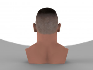 john cena bust ready for full color 3d printing Modelo de impresión 3D
