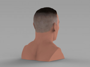 john cena bust ready for full color 3d printing Modelo de impresión 3D