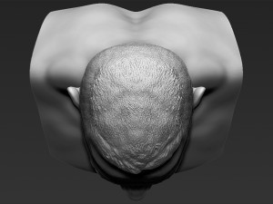 john cena bust ready for full color 3d printing Modelo de impresión 3D