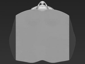 john cena bust ready for full color 3d printing Modelo de impresión 3D