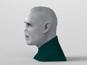 lord voldemort bust ready for full color 3d printing Modello di stampa 3D
