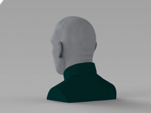 lord voldemort bust ready for full color 3d printing Modello di stampa 3D