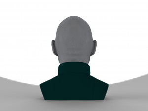 lord voldemort bust ready for full color 3d printing Modello di stampa 3D