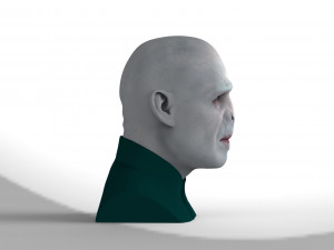 lord voldemort bust ready for full color 3d printing Modello di stampa 3D