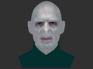 lord voldemort bust ready for full color 3d printing Modello di stampa 3D