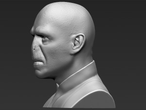 lord voldemort bust ready for full color 3d printing Modello di stampa 3D
