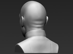 lord voldemort bust ready for full color 3d printing Modello di stampa 3D