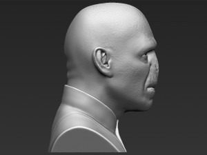 lord voldemort bust ready for full color 3d printing Modello di stampa 3D