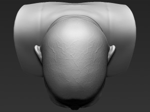 lord voldemort bust ready for full color 3d printing Modello di stampa 3D