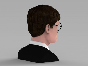 harry potter bust ready for full color 3d printing 3D Принт Модель