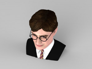harry potter bust ready for full color 3d printing 3D Принт Модель