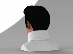 elvis presley bust ready for full color 3d printing 3D Print Model