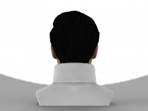 elvis presley bust ready for full color 3d printing 3D Print Model