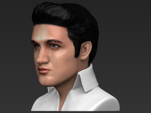 elvis presley bust ready for full color 3d printing 3D Print Model