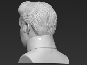 elvis presley bust ready for full color 3d printing 3D Print Model