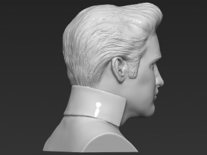 elvis presley bust ready for full color 3d printing 3D Print Model
